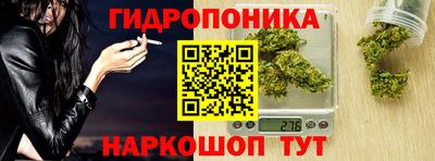 стаф Донской