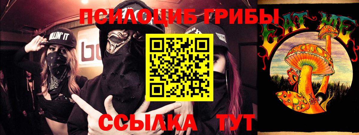 дарнет шоп  Вход с VPN  Менделеевск  Псилоцибиновые грибы Psilocybe 