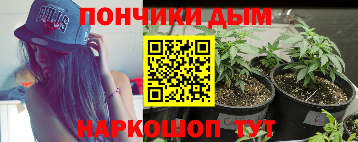 Бошки марихуана конопля  Вход с VPN  Шишки марихуана Bruce Banner  Менделеевск  МАРИХУАНА SATIVA & INDICA 